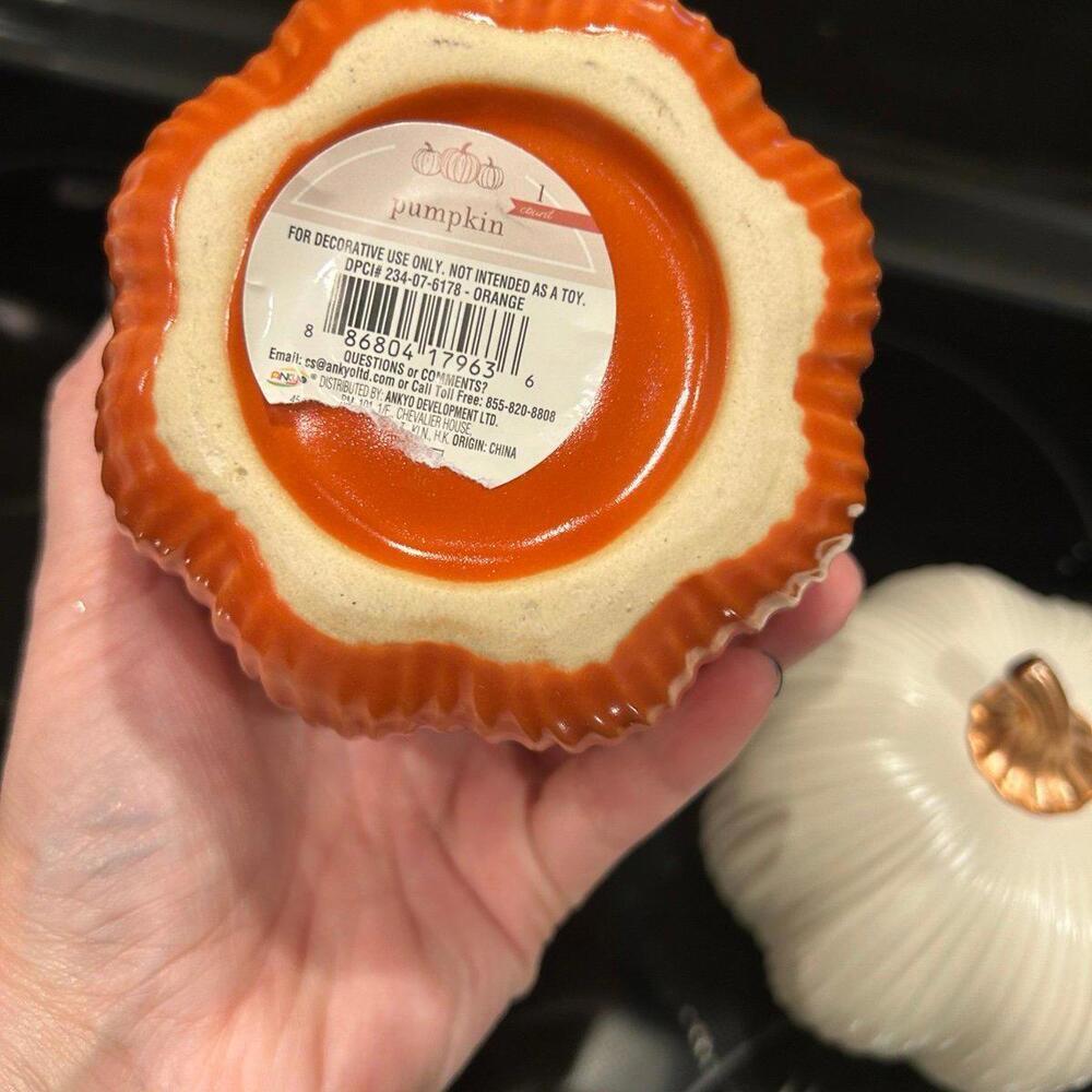 Target Bullseye Playground Fall Orange & cream set of 2 Stoneware Pumpkins - Picture 5 of 6